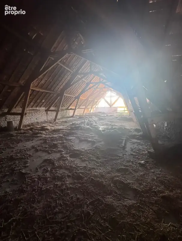 Tarbes – Propriété de caractère avec maison de 184 m² à rénover et près de 1 800 m² de bâtis - photo 40