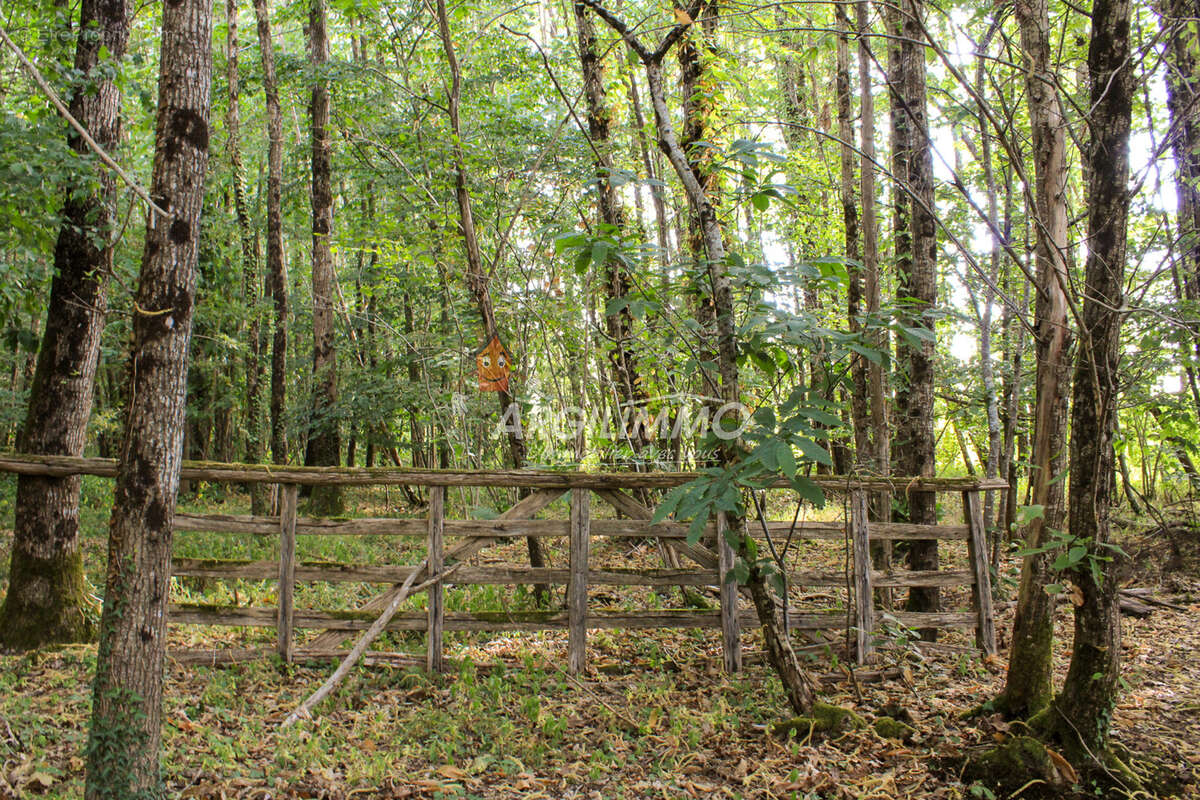 Superbe ancien corps de ferme sur 4ha12ca avec 1ha9 bois-taillis - photo 25