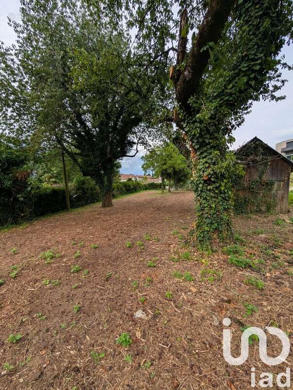 Photo 2 - Terrain à VIF