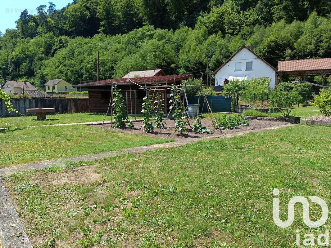 Photo 5 - Maison à LUTZELBOURG