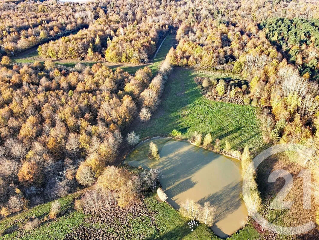 Maison à MENESTREAU-EN-VILLETTE