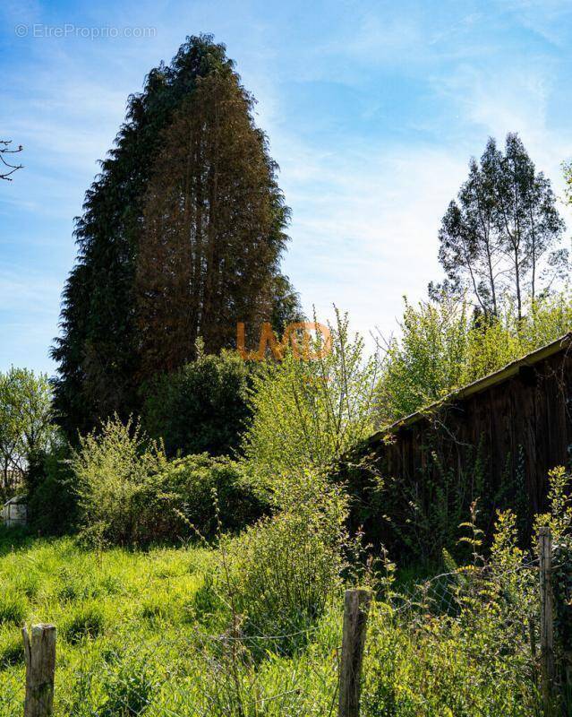 Terrain à SAINT-PAUL