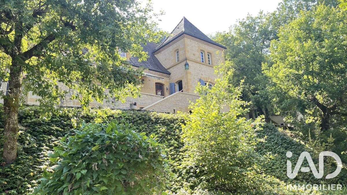 Maison 250 m² à Cenac-Et-Saint-Julien  - photo 2