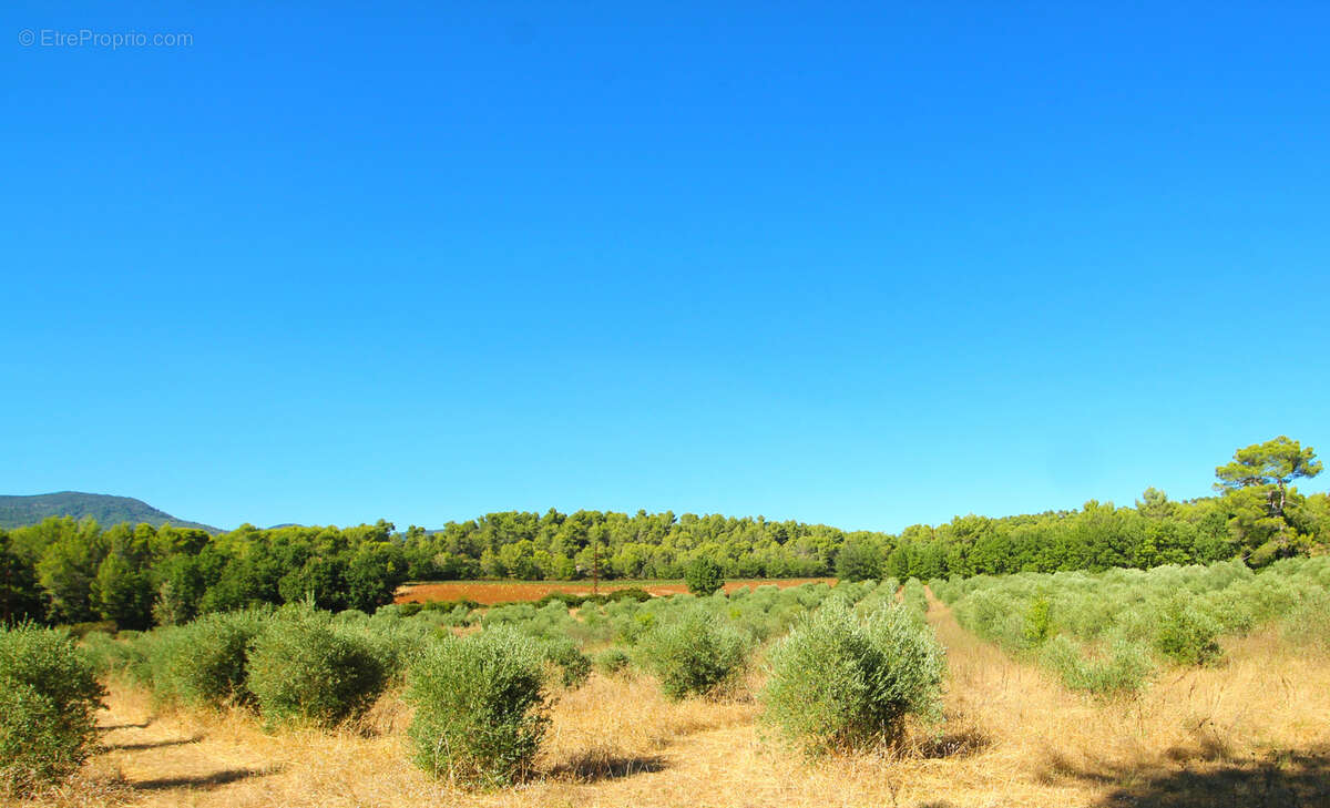 Autre à GRAMBOIS