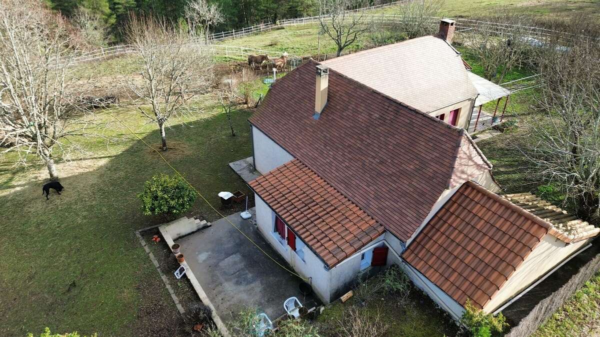 Maison et gite à Plazac, Périgord noir. - photo 6