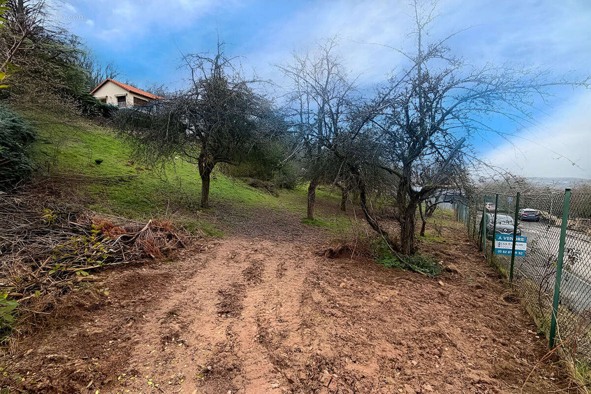 Terrain à SIERCK-LES-BAINS