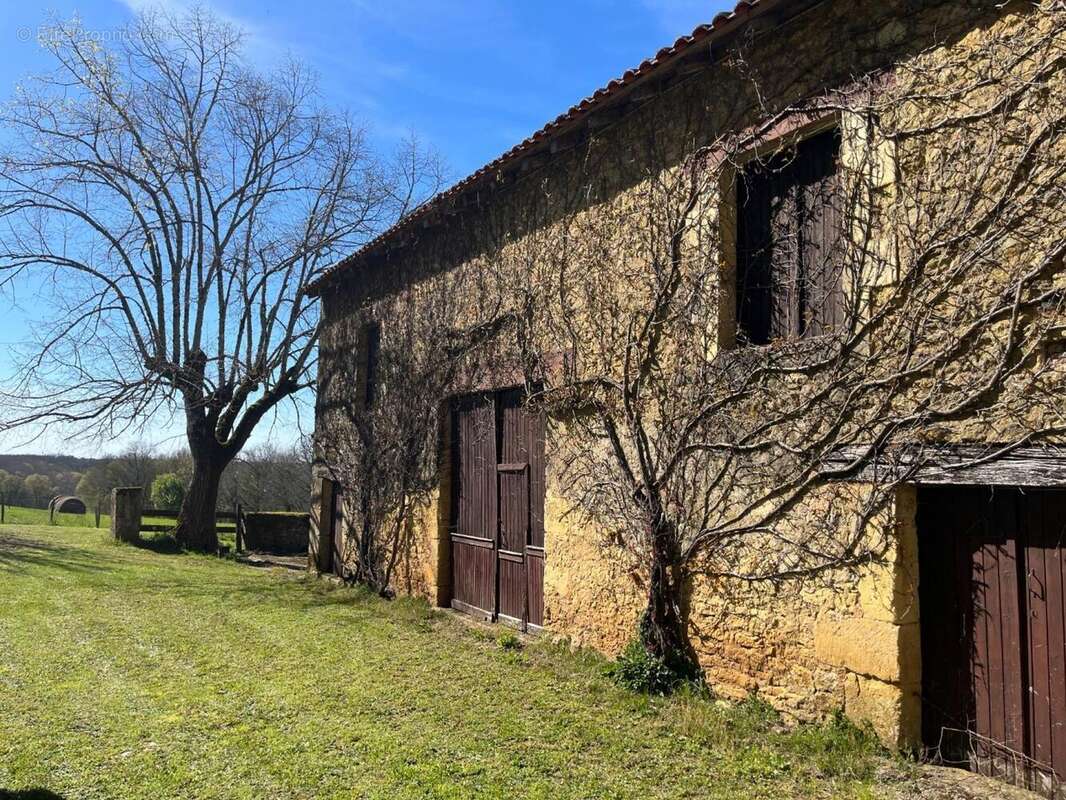 IMG_8385 2.jpeg - Maison à SAINT-AVIT-SENIEUR