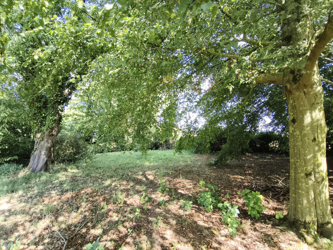 Villers-pol — demeure de caractère & ensemble immobilier aux multiples destinées - photo 28