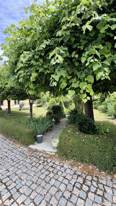 Achat St Lye proche Troyes maison 307m2  une dépendance 100 m2 jardin arboré 4135 m2 - photo 15