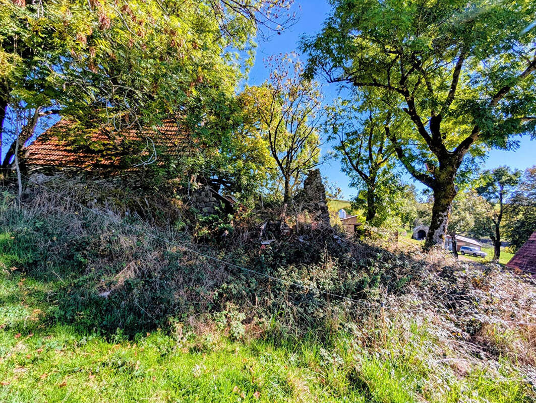 Maison à SAINT-PROJET-DE-SALERS