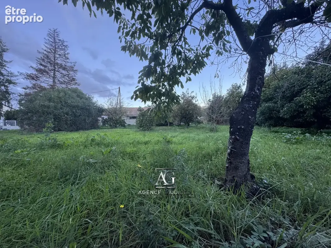 Photo Terrain à Prunelli-Di-Fiumorbo au prix de 65 000€