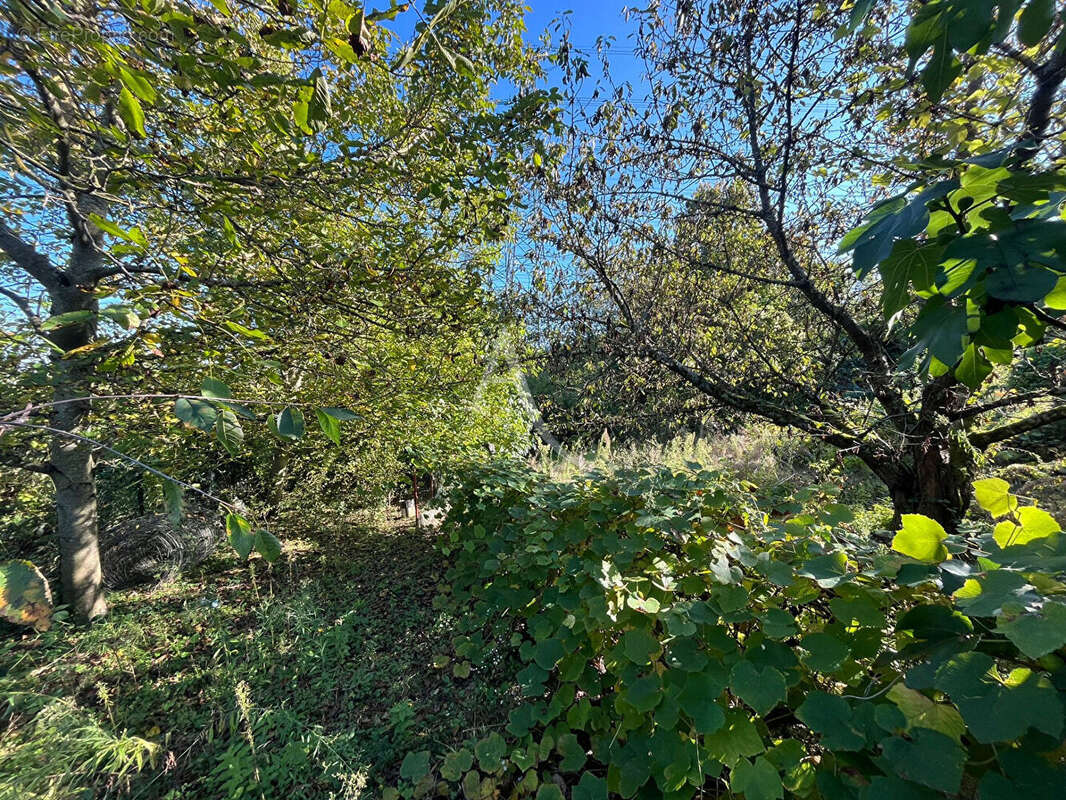 Maison à VILLEBON-SUR-YVETTE
