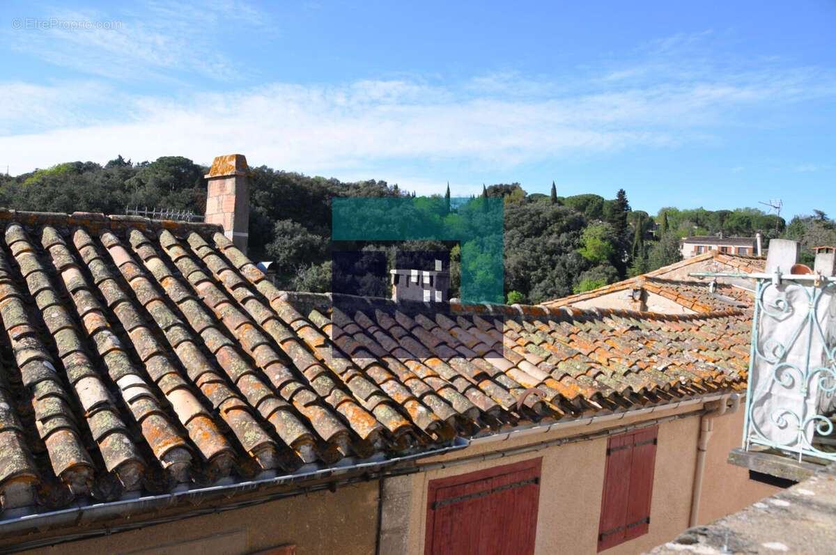 VUE  OUEST - Maison à MONTOLIEU