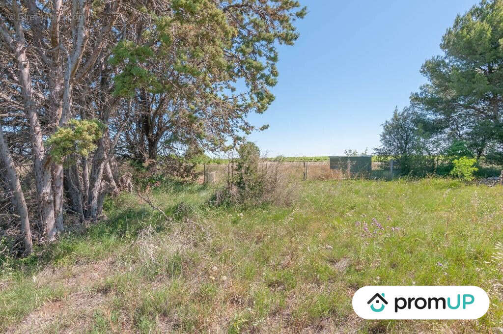 Terrain à MARSEILLAN