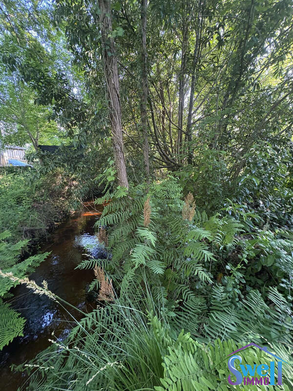 Terrain à MESSANGES