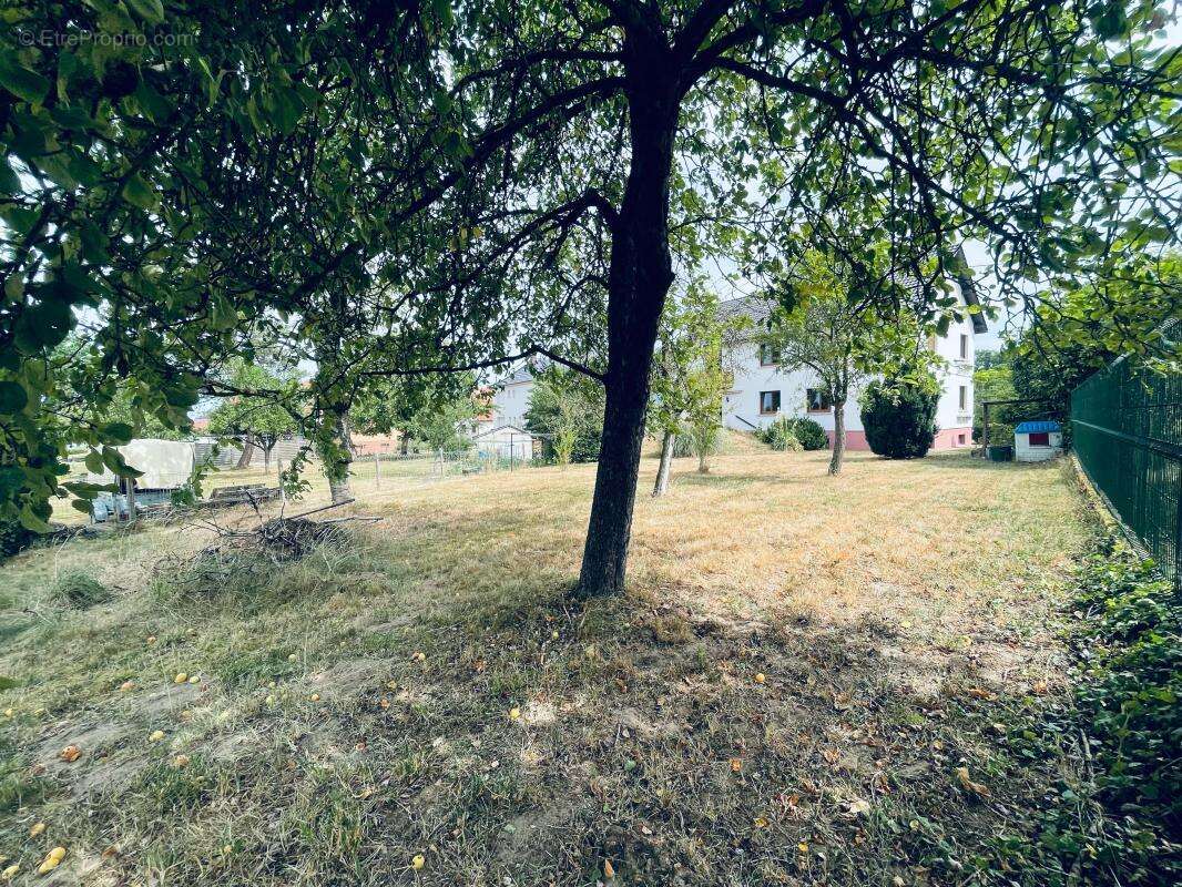 Maison À Vendre à HAGUENAU - photo 41