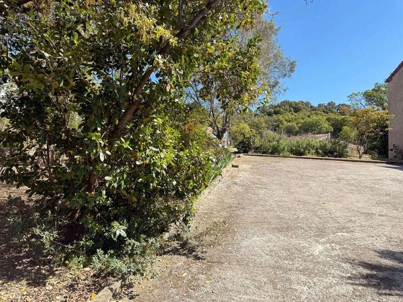 En CORSE, proche AJACCIO, aux portes du village d'AFA, grande maison familiale de 168m2,  terrain arborés de 2300 m2 - photo 7