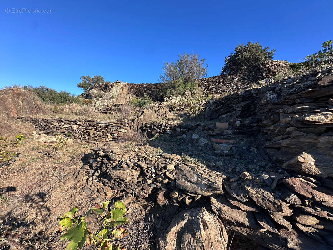 Terrain à COLLIOURE
