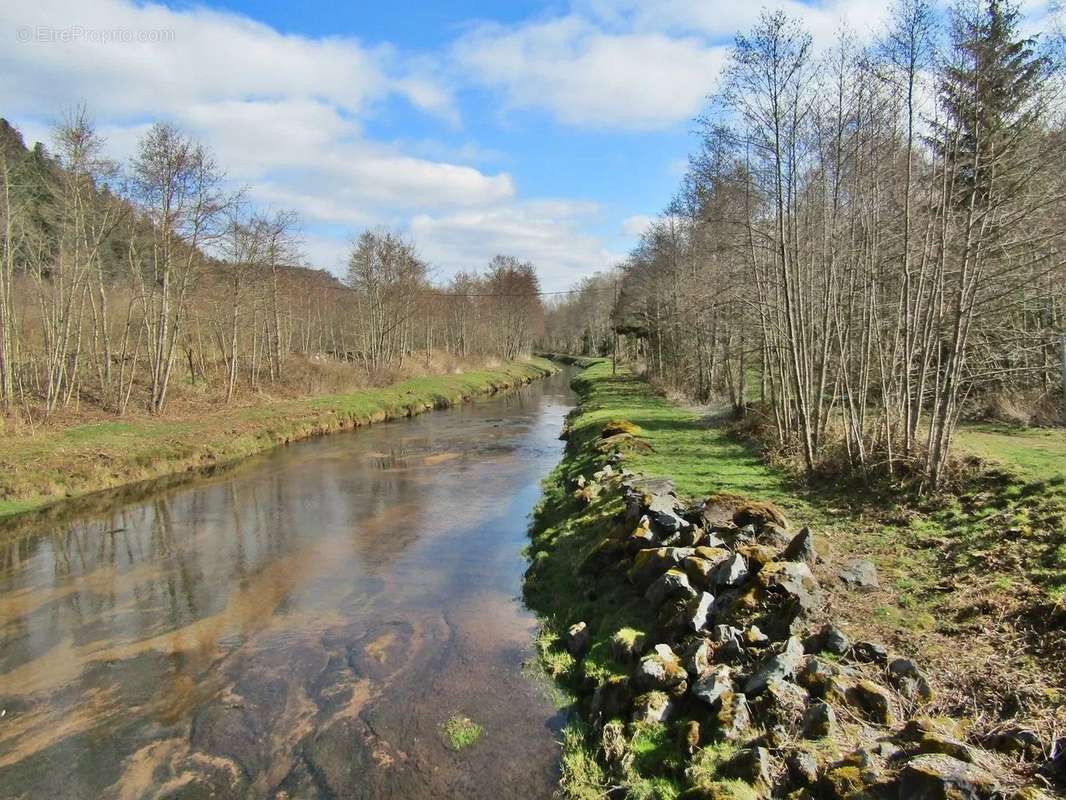 Appartement à CELLES-SUR-PLAINE