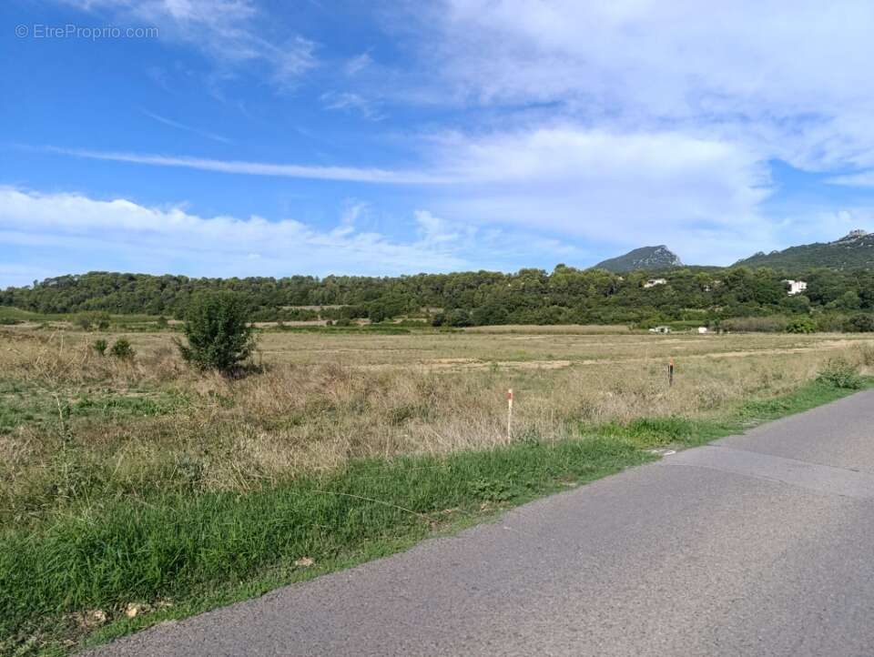 Terrain à SAINT-MATHIEU-DE-TREVIERS