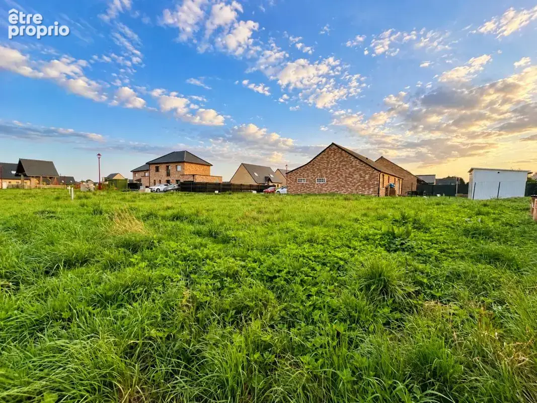 Terrain 485 m² à vendre à Herzeele (59470) - photo 4