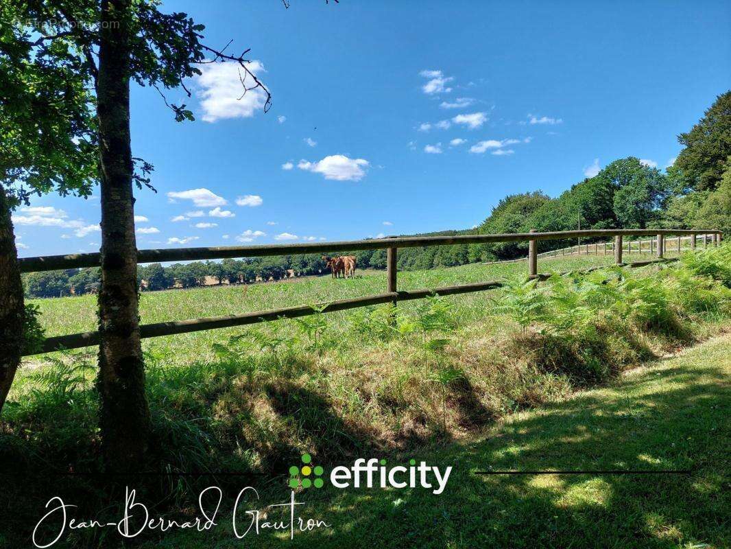 Propriété équestre - photo 19
