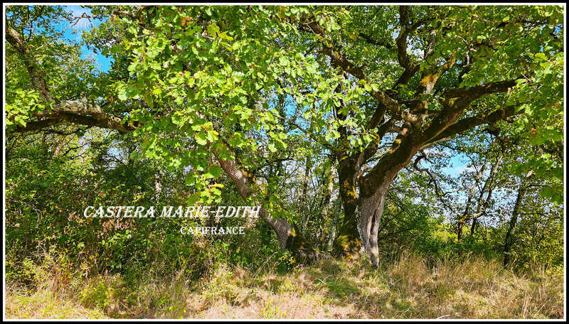 Maison à VIC-FEZENSAC