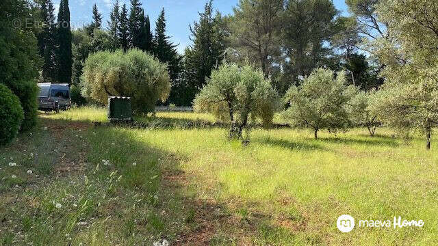 Terrain à LE BEAUSSET