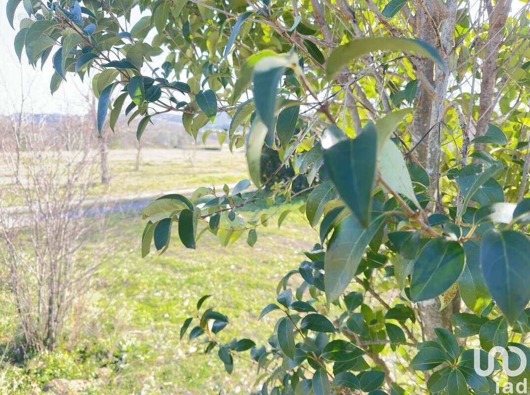 Photo 3 - Terrain à SAINT-ALEXANDRE