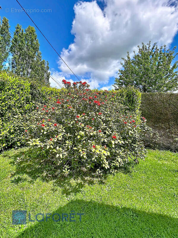 Maison à SAINT-OUEN-D'ATTEZ