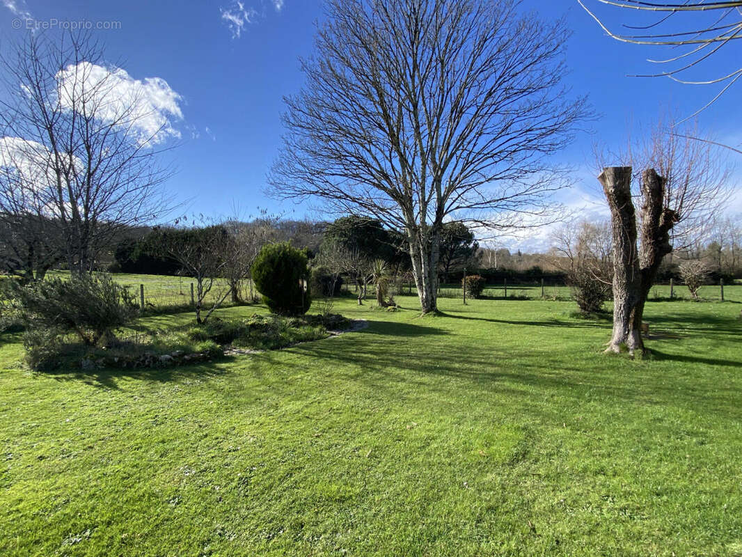 JARDIN FEV - Maison à CHENAUD