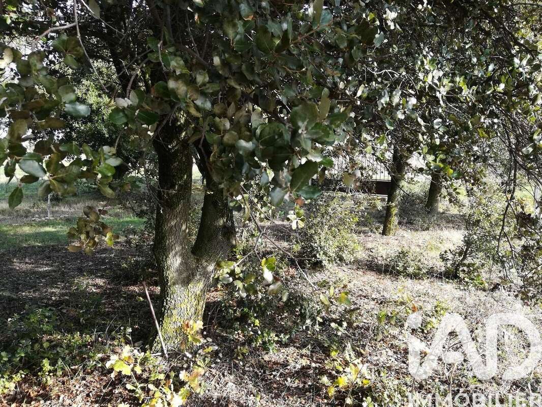 Photo 7 - Terrain à SAINTE-CECILE-LES-VIGNES