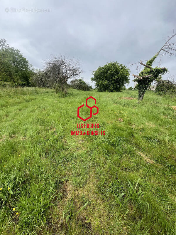 Terrain à VARREDDES