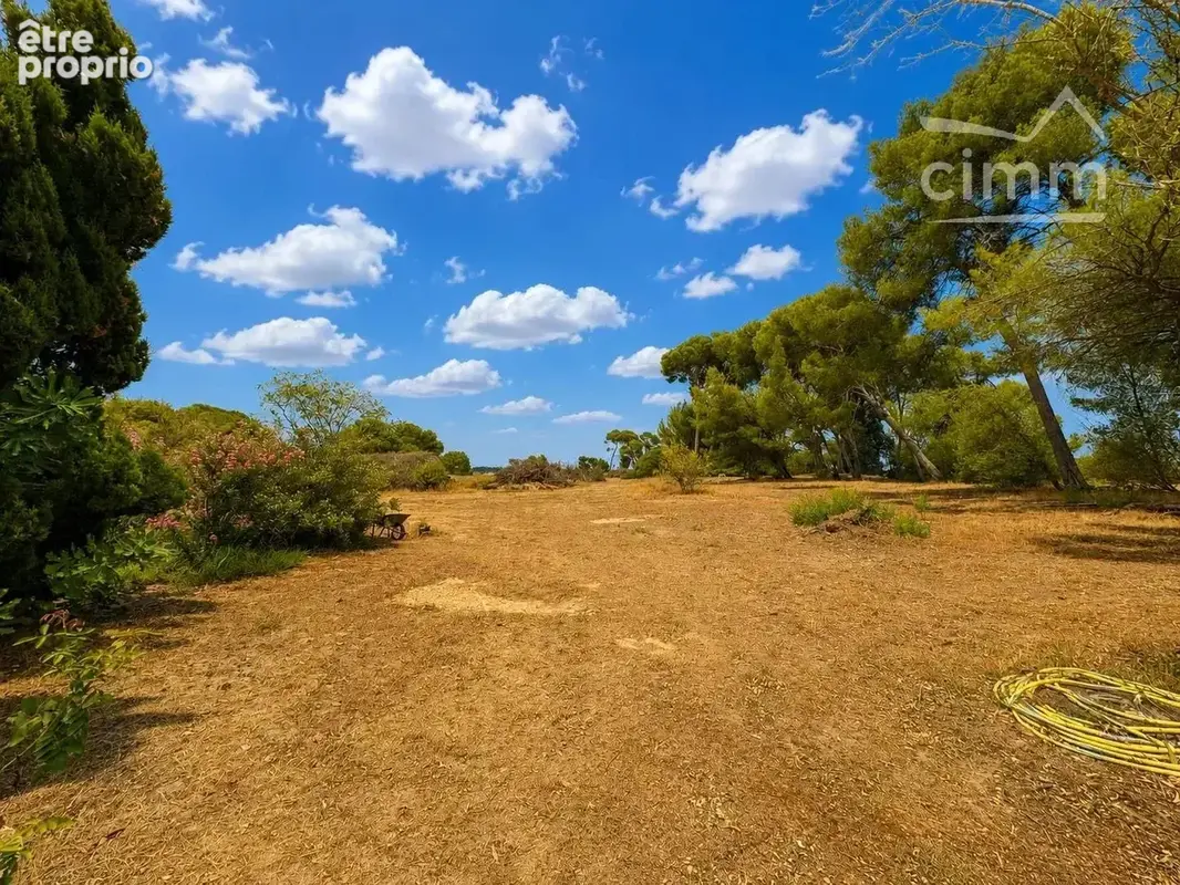 Propriété de plain-pied de 179 m² avec piscine – 2,3 hectares de terrain - photo 25