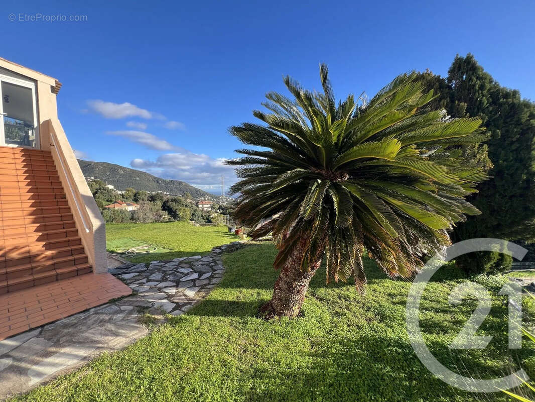 Maison à SAN-MARTINO-DI-LOTA