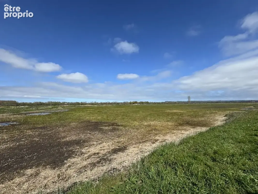 Terrain 195 941 m² à vendre à Hotot-En-Auge (14430) - photo 6