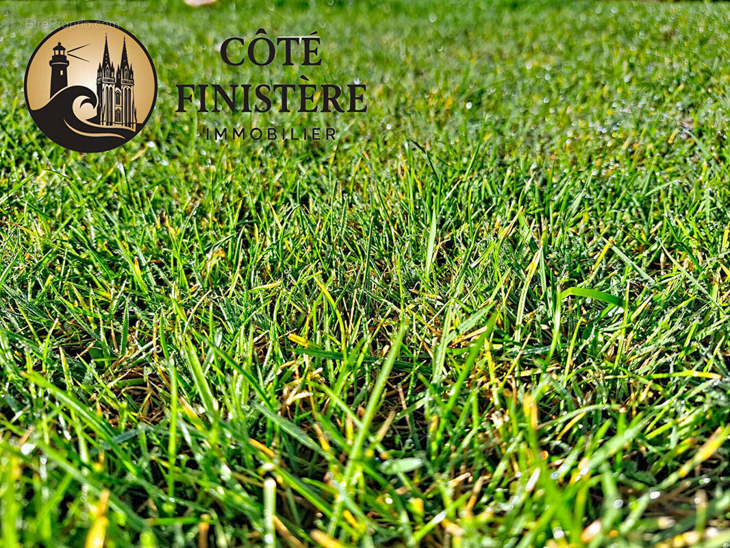 Terrain à PONT-L'ABBE