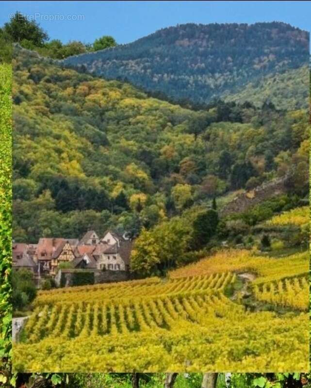 Maison à GUEBWILLER