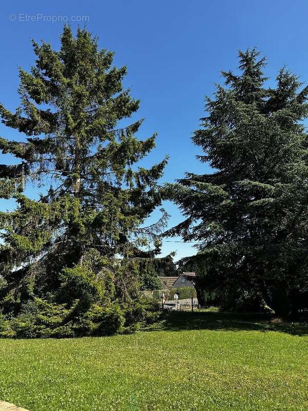 Maison à BOURG-ACHARD