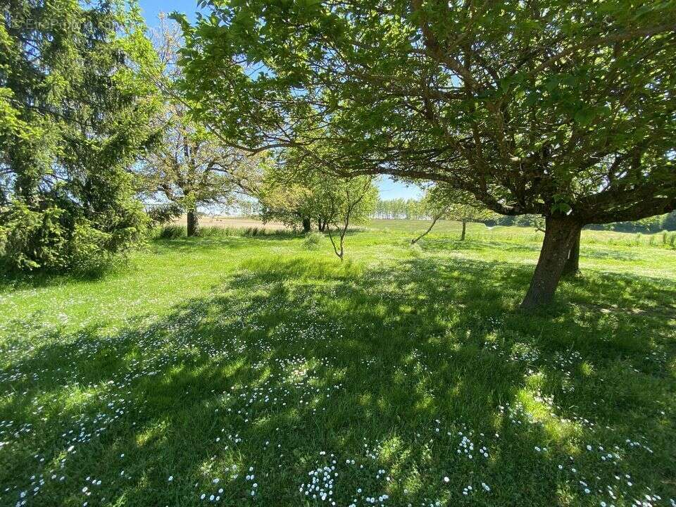 Maison à CREON-D&#039;ARMAGNAC