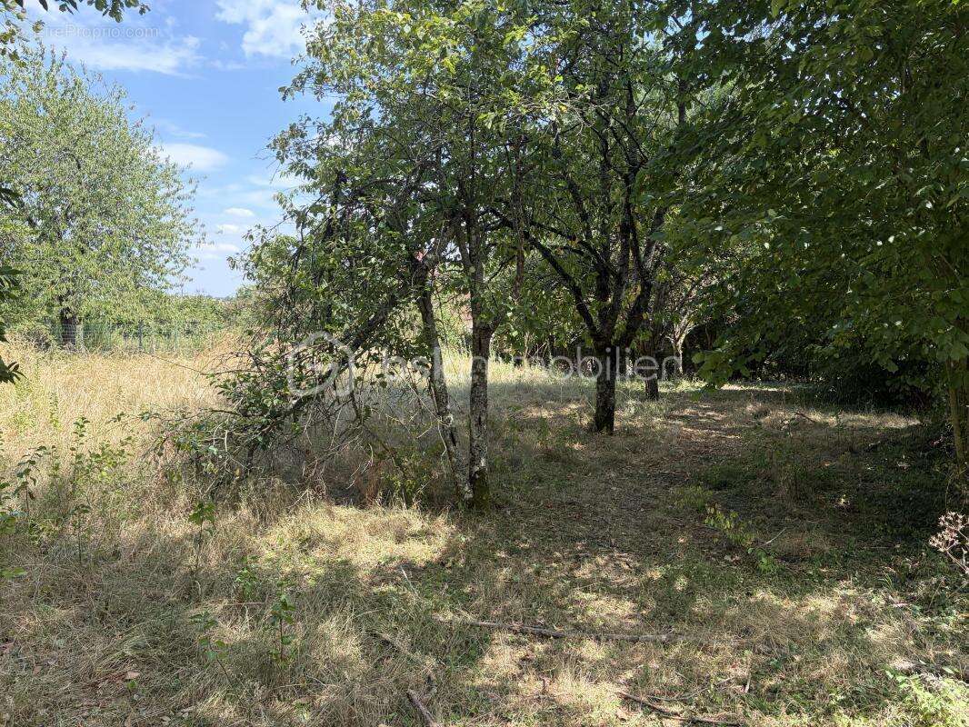 Magnifique corps de ferme à rénover composé de ses multiples dépendances, le tout sur une très belle parcelle close et arborée ! - photo 14