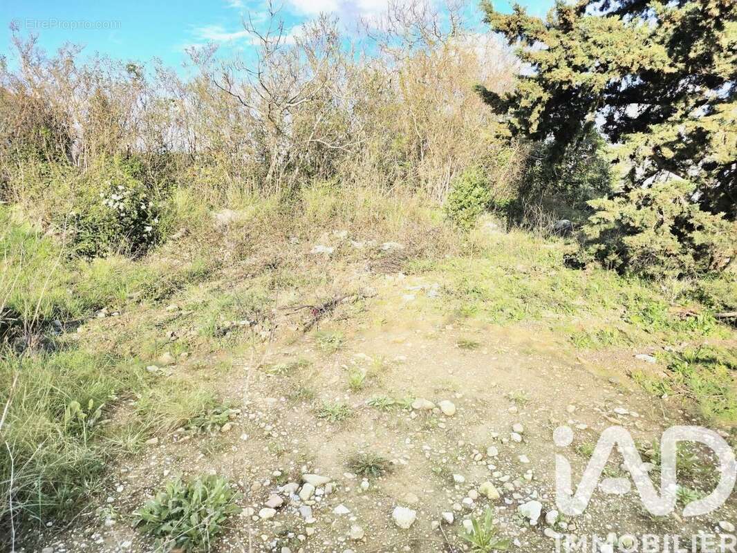 Terrain 489 m² à Salleles-D'aude  - photo 8