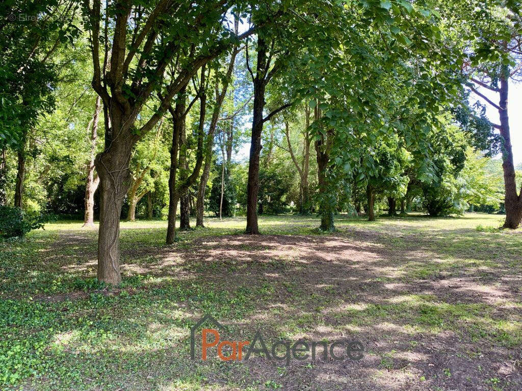 Maison à SAINT-ANDRE-DE-LIDON