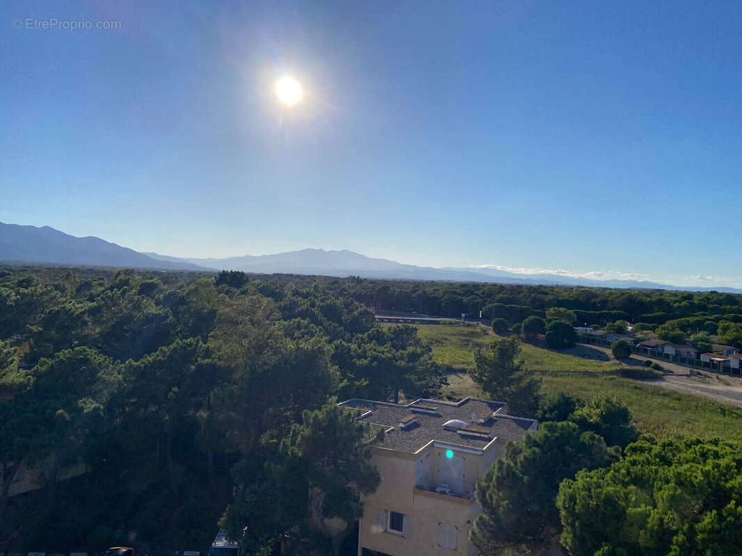 Photo 6 - Appartement à ARGELES-SUR-MER