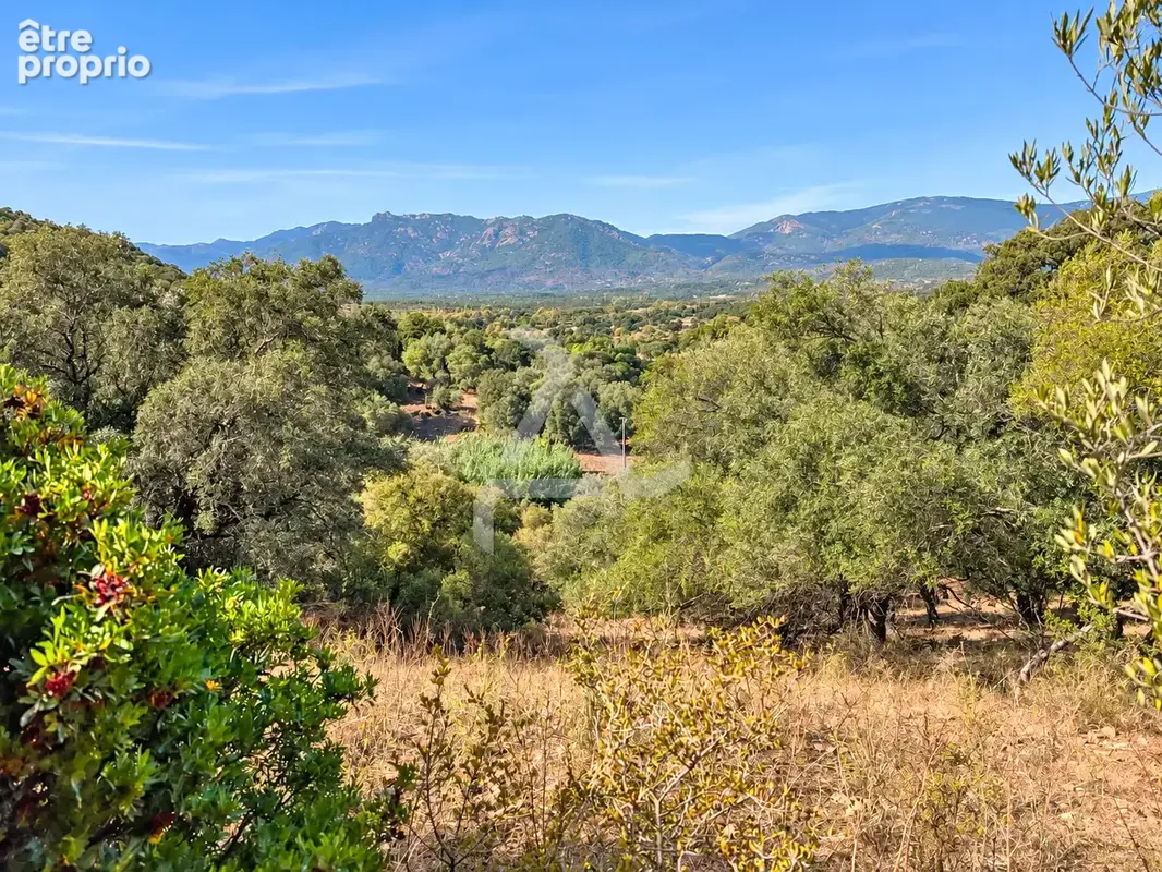 À seulement 3 min de porto-vecchio   terrain de 18 830 m2 avec pc purgé pour villa de 195 m2 avec piscine - photo 8