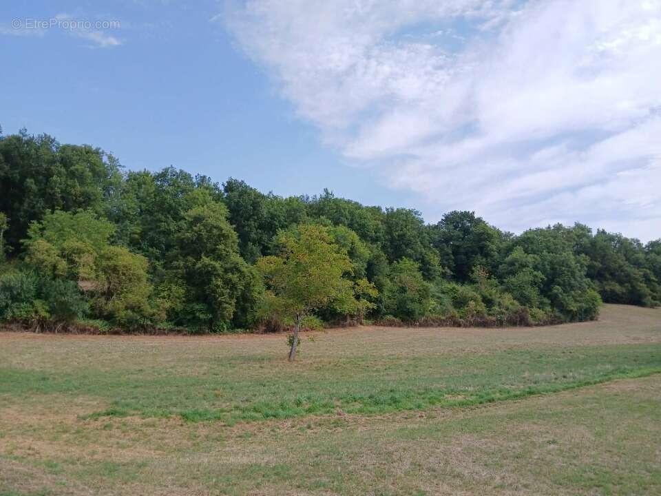 Terrain à SAINT-MARTIN-DE-RIBERAC