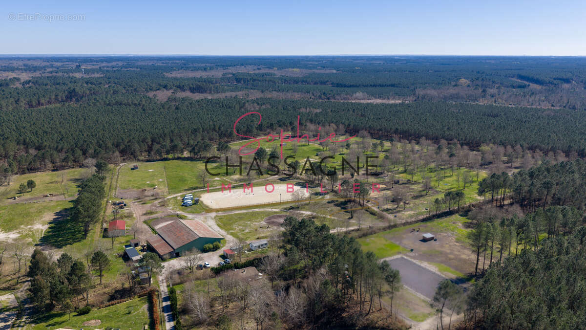 À 20 minutes de Lacanau, sur plus de 10 hectares, écurie de propriétaires avec maison de 80 m2 et installation - photo 2