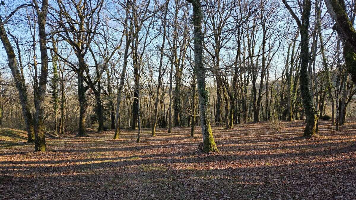 Terrain partie bois - Maison à DAGLAN