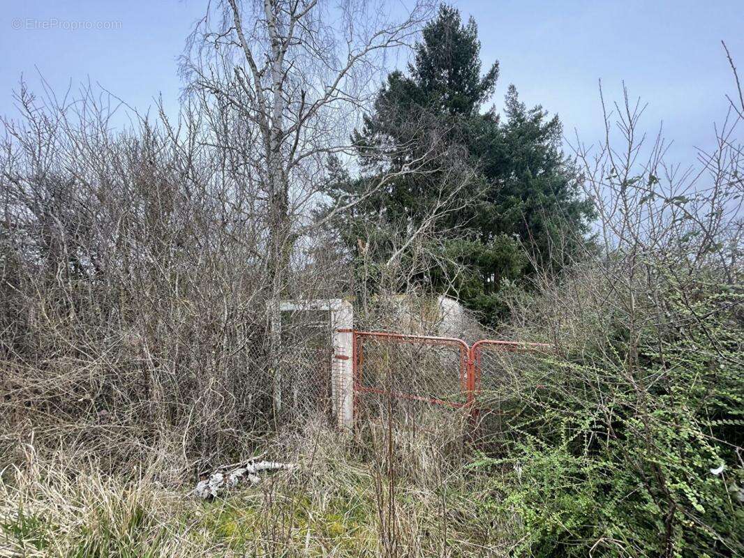 Terrain à CHATEAU-RENARD