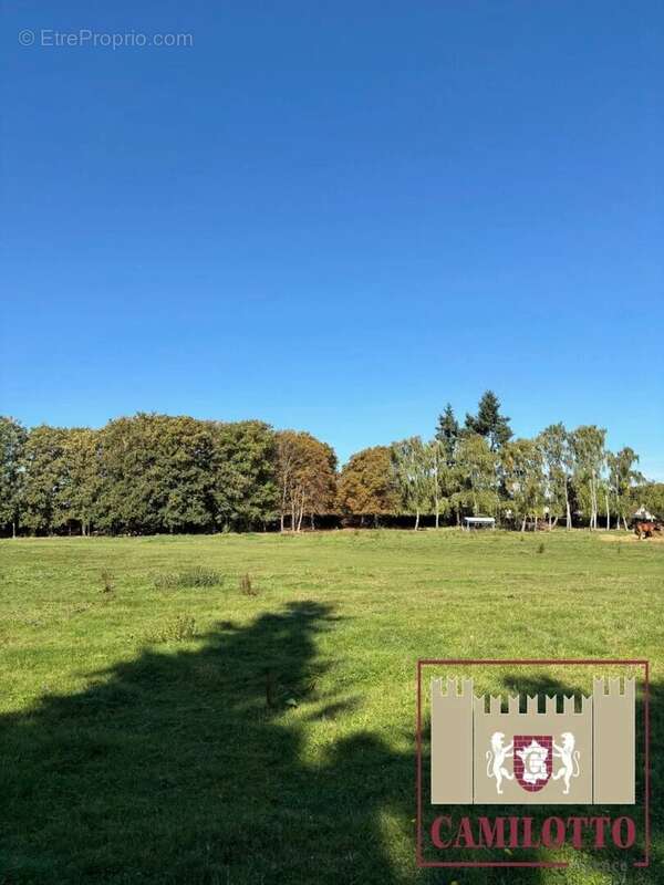 Terrain à NOGENT-LE-ROI